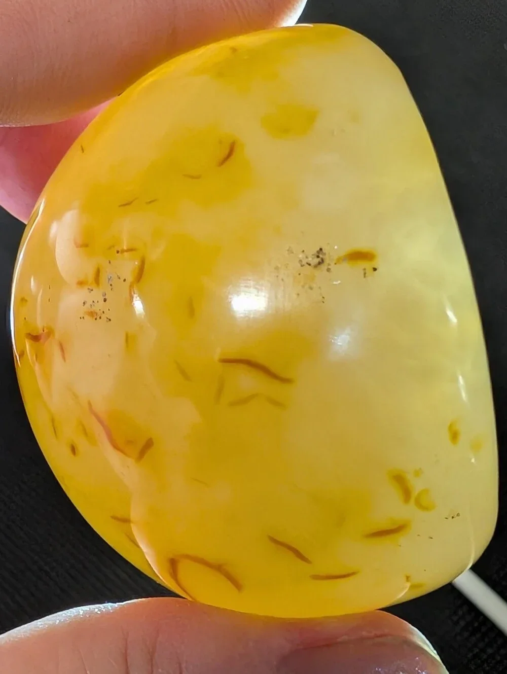 Brazilian Agate Geode Half
